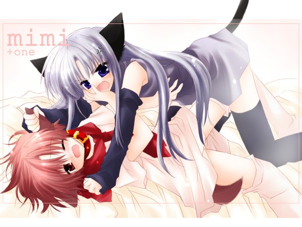 Anime picture 1600x1200 with pure pure hinata tobari animal ears cat girl girl