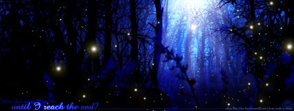 Anime picture 1205x457 with kaze-hime wide image inscription light gloom plant (plants) tree (trees) forest fireflies