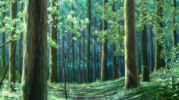 Anime picture 1280x720 with kasshoku kyonyuu no onna senshi marguerite no junan! wide image game cg no people landscape nature plant (plants) tree (trees) forest
