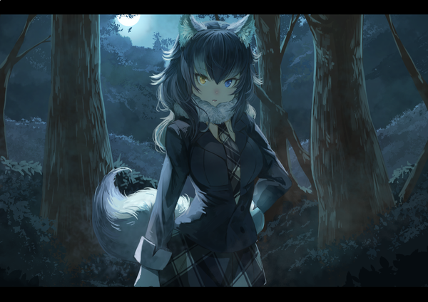 Anime picture 1228x868 with kemono friends grey wolf (kemono friends) koruse single long hair looking at viewer fringe blue eyes black hair hair between eyes animal ears yellow eyes outdoors white hair tail parted lips animal tail multicolored hair night two-tone hair