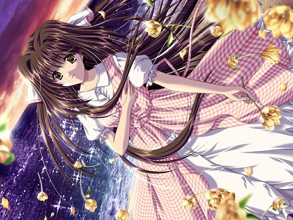 Anime picture 1024x768 with sky (game) hiougi ayame akira (usausa) single long hair brown hair yellow eyes game cg wind girl dress flower (flowers)