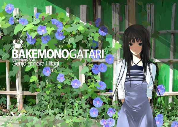 Anime picture 1340x960 with bakemonogatari shaft (studio) monogatari (series) senjougahara hitagi mikipuruun no naegi chef no kimagure salad flower (flowers) morning glory