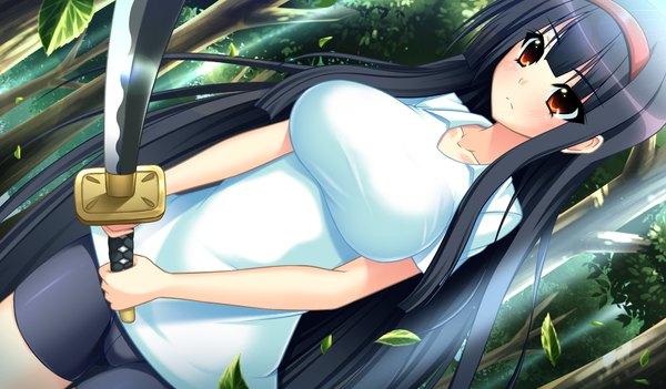 Anime picture 1024x600 with sperman single long hair breasts light erotic black hair red eyes wide image large breasts game cg girl uniform weapon sword hairband katana leaf (leaves) gym uniform leggings