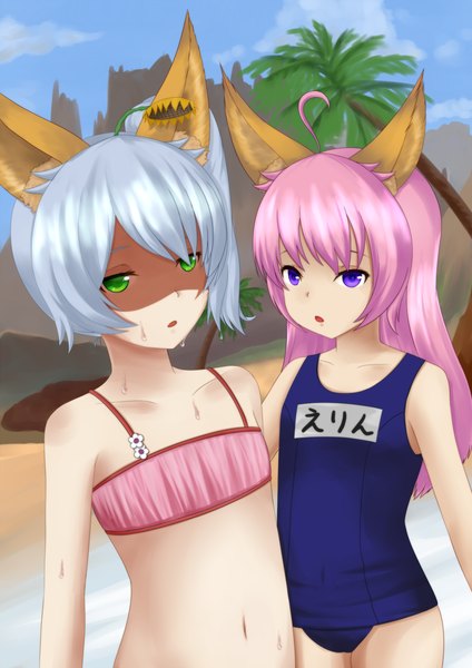 Anime picture 1240x1753 with tera online zatsuon (artist) long hair tall image short hair light erotic purple eyes multiple girls green eyes animal ears pink hair silver hair sweat flat chest girl navel 2 girls swimsuit one-piece swimsuit school swimsuit