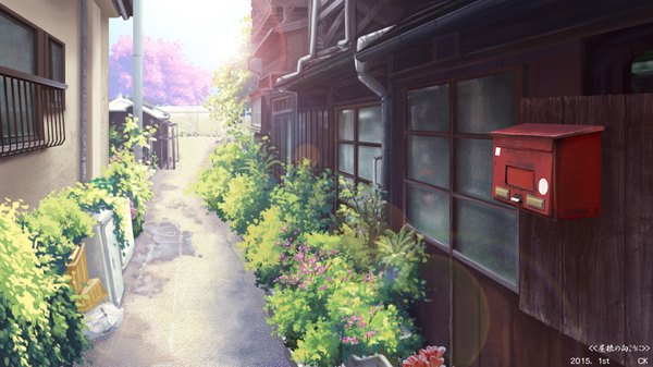 Anime picture 1920x1080 with original yuko-san highres wide image sunlight cherry blossoms no people street plant (plants) tree (trees) window building (buildings) mailbox