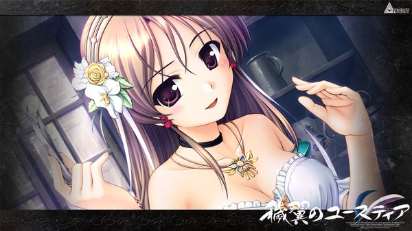 Anime picture 1920x1080 with aiyoku no eustia eris floralia long hair highres red eyes brown hair wide image game cg girl