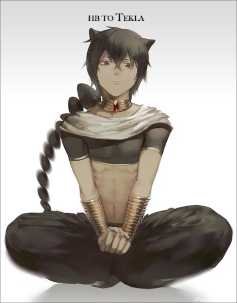 Anime picture 1240x1588 with magi the labyrinth of magic a-1 pictures judal par single long hair tall image looking at viewer black hair simple background red eyes white background sitting animal ears braid (braids) cat ears inscription shadow text indian style