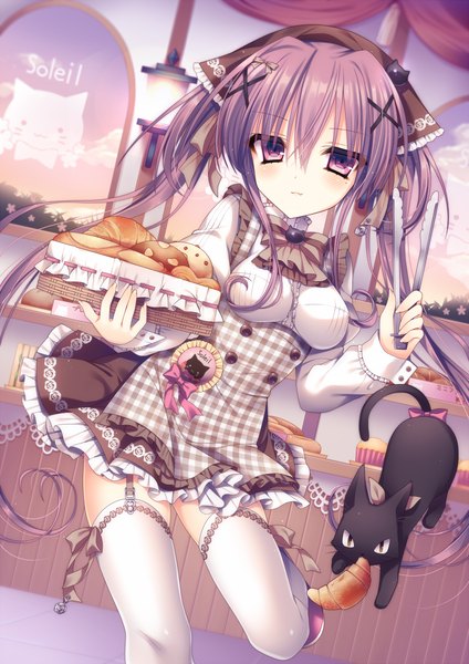 Anime picture 800x1131 with original moe2016 tsukikage nemu single long hair tall image looking at viewer twintails purple eyes purple hair mole mole under eye girl thighhighs dress hair ornament animal white thighhighs cat x hair ornament