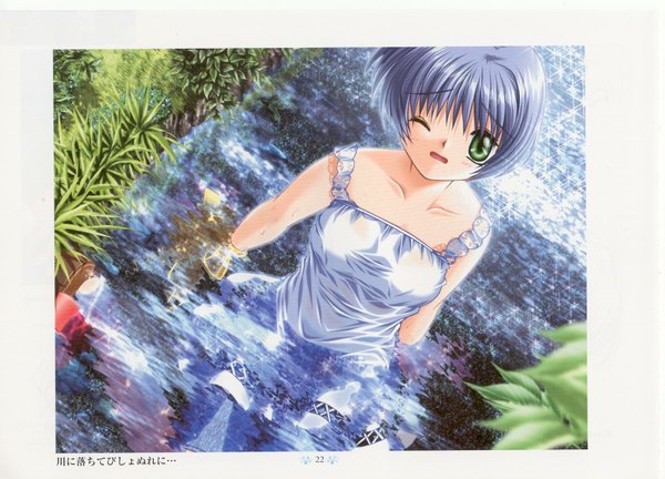 Anime picture 1755x1264 with air key (studio) kirishima kano hinoue itaru single looking at viewer highres short hair open mouth sitting blue hair outdoors one eye closed from above scan partially submerged border girl dress plant (plants)