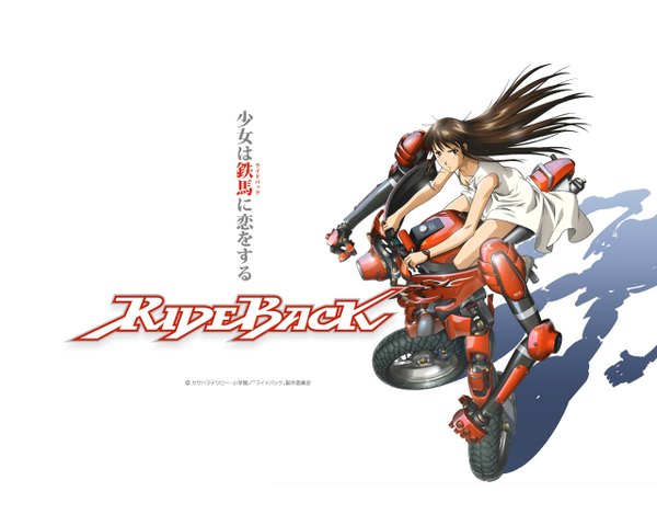 Anime picture 1280x1024 with long hair white background tagme rideback