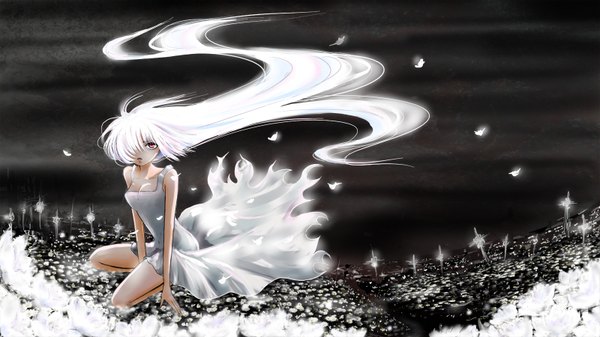 Anime picture 1600x900 with vocaloid megurine luka daisy (invisibleworld) single long hair fringe red eyes wide image white hair hair over one eye girl dress petals cemetery