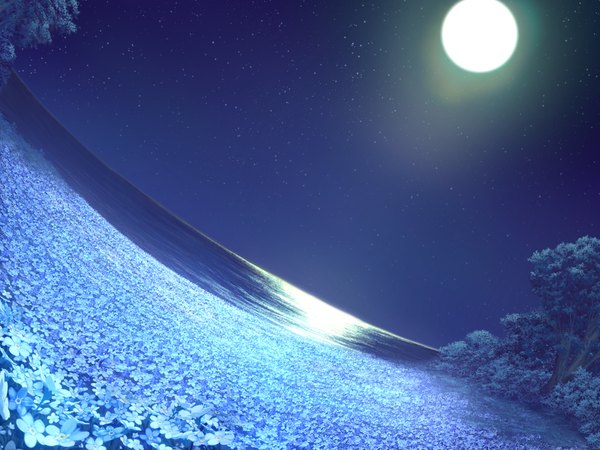 Anime picture 1024x768 with lovely x cation 2 hibiki works game cg night night sky landscape nature flower (flowers) plant (plants) tree (trees) moon star (stars)