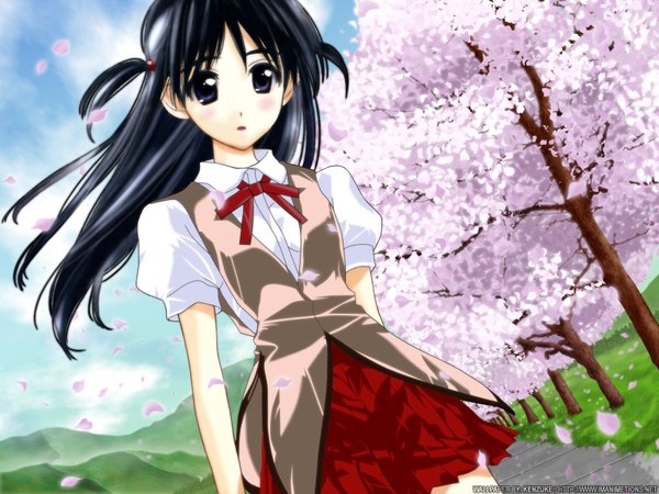 Anime picture 1600x1200 with school rumble tsukamoto tenma kobayashi jin single long hair looking at viewer black hair standing purple eyes sky outdoors pleated skirt wind two side up dutch angle cherry blossoms girl skirt plant (plants) petals