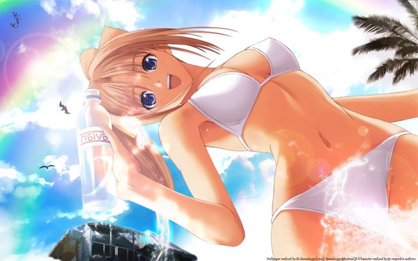 Anime picture 1920x1200 with after shiomiya kanami tony taka long hair looking at viewer highres breasts blue eyes light erotic smile wide image sky ponytail sunlight beach girl navel swimsuit plant (plants) animal