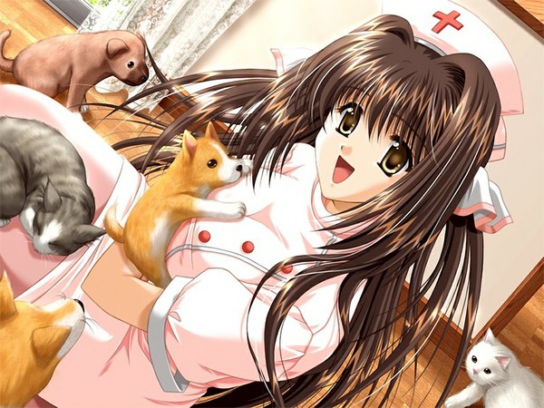 Anime picture 1024x768 with sky (game) hiougi ayame akira (usausa) single brown hair brown eyes game cg nurse girl animal cat dog