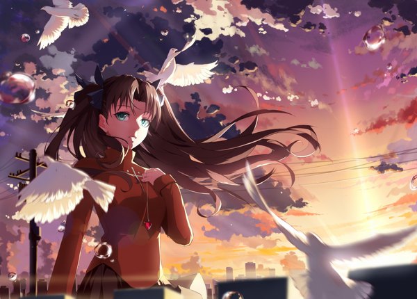 Anime picture 1920x1379 with fate (series) fate/stay night type-moon toosaka rin yunsang single long hair looking at viewer highres brown hair twintails green eyes sky cloud (clouds) evening sunset scenic twilight girl animal