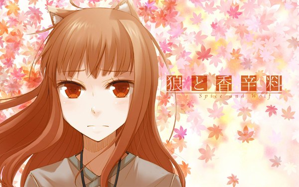 Anime picture 1920x1200 with spice and wolf horo single highres brown hair wide image brown eyes animal ears wolf ears wolf girl girl flower (flowers)