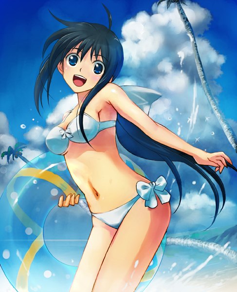 Anime picture 812x1000 with original hirokiku single long hair tall image looking at viewer blush open mouth blue eyes black hair sky cloud (clouds) ahoge ponytail beach girl navel swimsuit plant (plants) bikini
