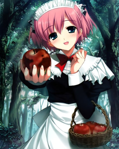 Anime picture 3276x4095 with grisaia no kajitsu komine sachi fumio (ura fmo) single tall image highres short hair green eyes absurdres red hair maid girl plant (plants) tree (trees) forest apple basket