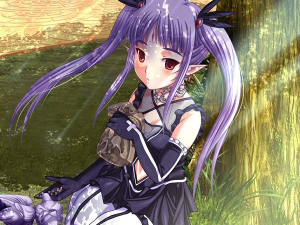 Anime picture 1024x768 with dungeon crusaderz long hair red eyes twintails game cg purple hair pointy ears girl gloves earrings animal elbow gloves bird (birds) collar