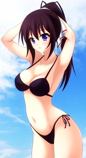 Anime picture 1365x2511 with infinite stratos 8bit shinonono houki midori rin single long hair tall image blush breasts light erotic purple eyes purple hair ponytail girl navel swimsuit bikini black bikini