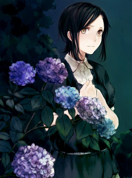 Anime picture 800x1075 with original yukiguni (artist) single tall image looking at viewer short hair black hair brown eyes hand on chest green background girl dress flower (flowers) plant (plants) hydrangea