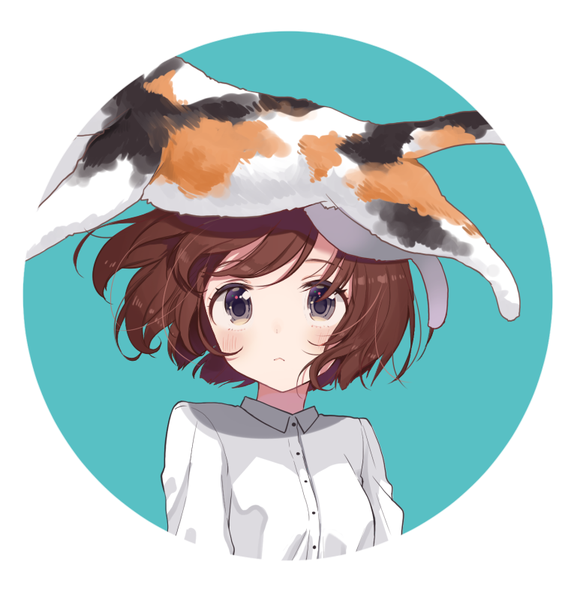 Anime picture 765x800 with original shigure ui single tall image blush short hair simple background brown hair white background grey eyes floating hair portrait aqua background girl animal cat