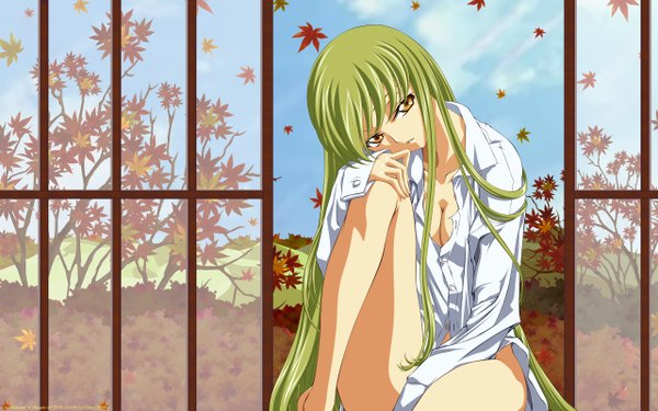 Anime picture 2560x1600 with code geass sunrise (studio) c.c. single long hair fringe highres breasts light erotic wide image sitting yellow eyes sky cleavage cloud (clouds) bent knee (knees) long sleeves head tilt green hair naked shirt