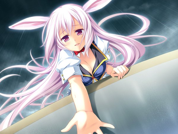 Anime picture 1600x1200 with otomimi infinity (game) kusahara hanemi long hair animal ears pink hair game cg pink eyes girl