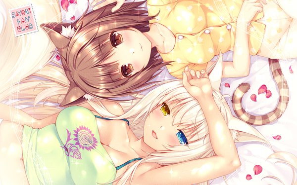 Anime picture 1920x1200 with neko paradise neko works (studio) coconut (sayori) azuki (sayori) sayori long hair looking at viewer fringe highres short hair breasts open mouth blue eyes blonde hair smile hair between eyes brown hair multiple girls brown eyes animal ears