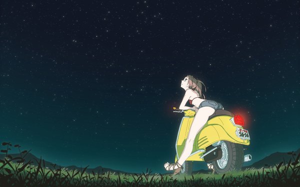 Anime picture 1680x1050 with nikerabi wide image pink hair sky night wallpaper looking up landscape plant (plants) shorts star (stars) grass bikini top motorcycle