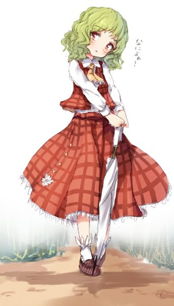 Anime picture 479x840 with touhou kazami yuuka flan (harry mackenzie) single tall image blush fringe short hair red eyes looking away green hair text wavy hair closed umbrella question girl skirt flower (flowers) umbrella skirt set