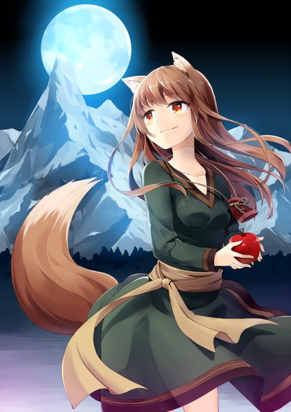 Anime picture 1000x1414 with spice and wolf horo hazuki natsu single long hair tall image fringe red eyes brown hair animal ears looking away tail animal tail light smile night mountain wolf ears wolf tail girl dress