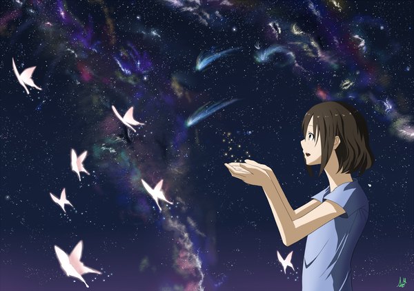 Anime picture 2480x1748 with quarterly pixiv 3 free mac (artist) single highres short hair brown hair sky profile night night sky milky way meteor rain aurora borealis girl insect butterfly t-shirt