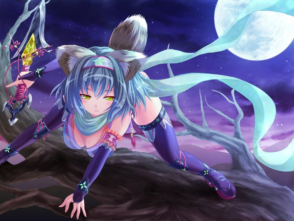 Anime picture 1600x1200 with cabbaco animal ears yellow eyes blue hair tail sword ninja