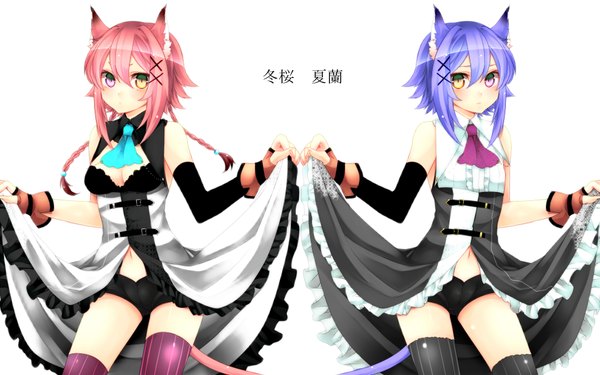 Anime picture 2000x1250 with original yutazou highres short hair light erotic simple background wide image white background multiple girls animal ears pink hair purple hair braid (braids) cat ears cat tail heterochromia dress lift girl thighhighs underwear