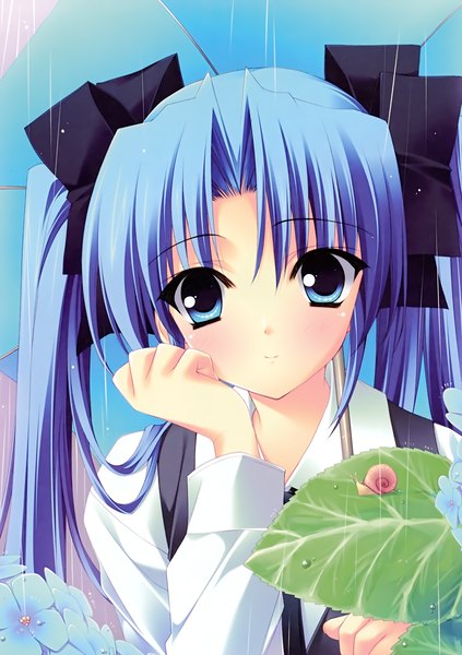 Anime picture 2117x3000 with r.g.b! shiki ai suzuhira hiro long hair tall image highres blue eyes twintails blue hair scan rain girl flower (flowers) ribbon (ribbons) hair ribbon umbrella hydrangea