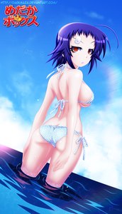 Anime picture 1500x2609
