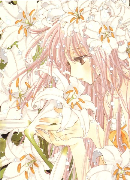 Anime picture 1861x2579 with kobato clamp hanato kobato single long hair tall image highres brown eyes pink hair girl flower (flowers)
