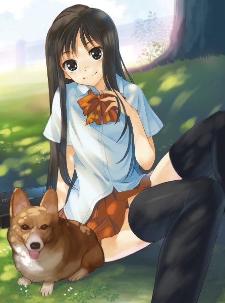 Anime picture 892x1200 with original hirokiku single long hair tall image looking at viewer black hair smile sitting black eyes welsh corgi girl thighhighs uniform black thighhighs plant (plants) school uniform animal tree (trees) dog