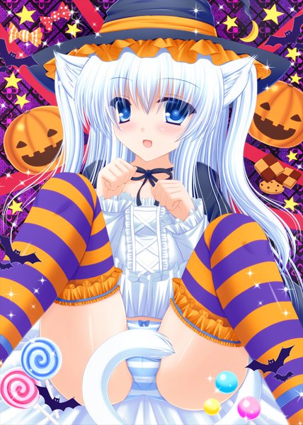 Anime picture 1020x1429 with original shimotsuki keisuke single long hair tall image blush open mouth blue eyes light erotic animal ears white hair tail animal tail cat ears cat girl cat tail halloween witch girl thighhighs