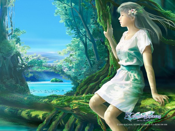 Anime picture 1600x1200 with kagaya single long hair hair flower grey hair realistic landscape 3d girl hair ornament plant (plants) tree (trees) water sea