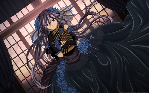 Anime picture 1920x1200 with pandora hearts xebec alice (pandora hearts) cilou (artist) long hair highres black hair wide image hair flower black eyes girl dress gloves hair ornament cage