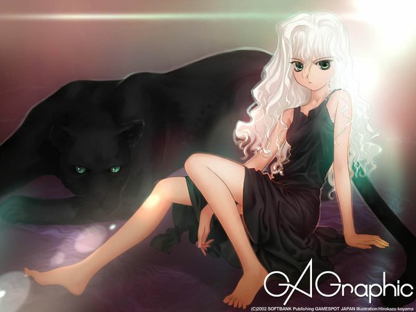 Anime picture 1024x768 with gagraphic koyama hirokazu long hair green eyes white hair barefoot wallpaper soles girl dress cat panther
