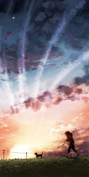 Anime picture 1049x2069 with original matsumoto mitsuaki tall image sky cloud (clouds) evening sunset landscape scenic plant (plants) animal bird (birds) star (stars) cat grass child (children) house