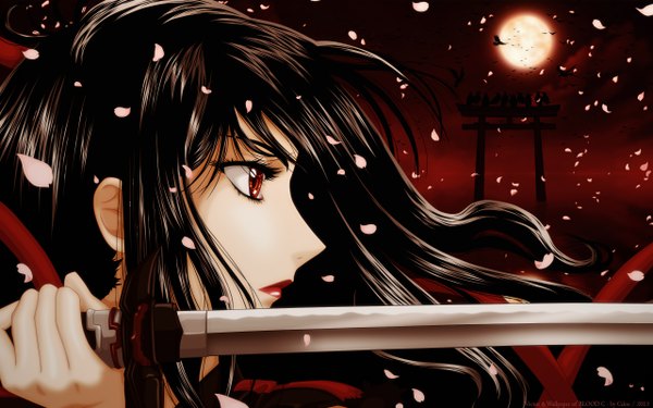 Anime picture 2560x1600 with blood c production i.g kisaragi saya cilou (artist) single long hair highres black hair red eyes wide image looking away profile lipstick red moon girl weapon animal petals sword bird (birds)