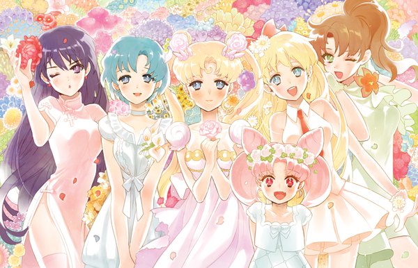 Anime picture 891x574 with bishoujo senshi sailor moon toei animation tsukino usagi chibiusa aino minako kino makoto princess serenity mizuno ami hino rei kissai long hair looking at viewer blush short hair open mouth blue eyes blonde hair smile brown hair purple eyes