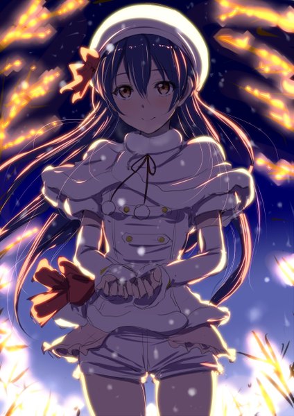 Anime picture 867x1227 with love live! school idol project sunrise (studio) love live! sonoda umi clearite single long hair tall image looking at viewer blush smile brown eyes blue hair night night sky snowing winter glow girl plant (plants)