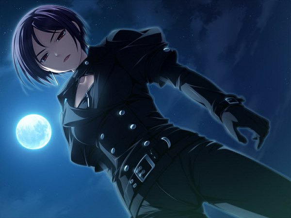 Anime picture 1024x768 with comu -kuroi ryuu to yasashii oukoku- hasekura touri short hair red eyes game cg purple hair night girl moon