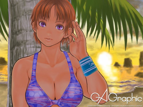 Anime picture 1024x768 with gagraphic takahisa kunihiro evening sunset summer girl